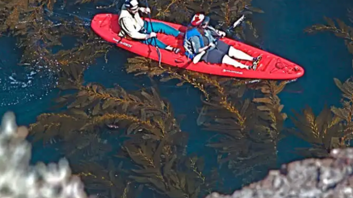 Screenshot 2023-12-06 at 9.11.38 AM a raft next to a body of water